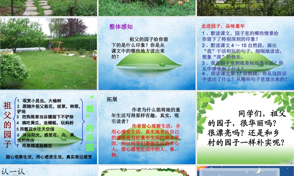 《祖父的园子》教学课件2