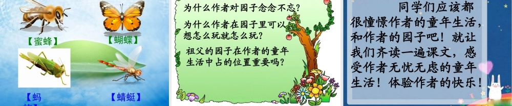 《祖父的园子》教学课件2