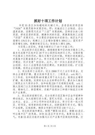 抓好十项工作计划