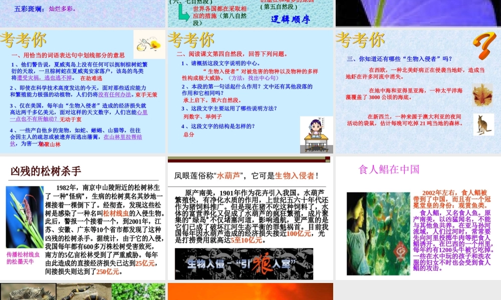 八年级语文上册第四单元第19课：(生物入侵者)课件 人教新课标版 课件