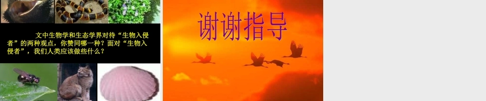 八年级语文上册第四单元第19课：(生物入侵者)课件 人教新课标版 课件