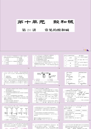 中考化学总复习 第一轮复习 系统梳理 夯基固本 第常见的酸和碱练习课件