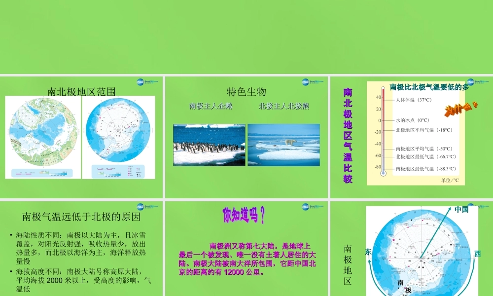 中学七年级地理下册 第十章 极地地区课件 新人教版 课件