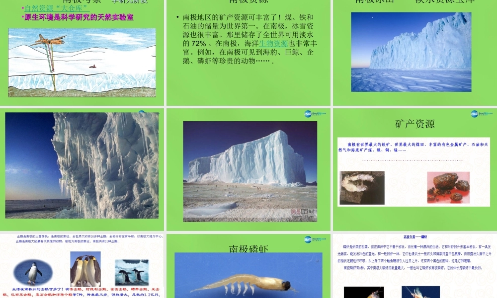 中学七年级地理下册 第十章 极地地区课件 新人教版 课件