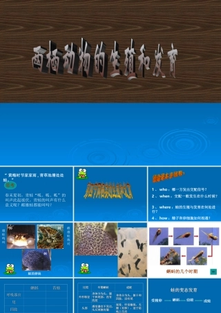 八年级生物 两栖动物的生殖和发育1 课件