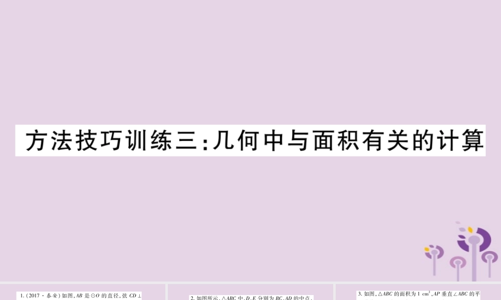 中考数学复习 第一轮 考点系统复习 第6章 圆 方法技巧训练3：几何中与面积有关的计算习题课件
