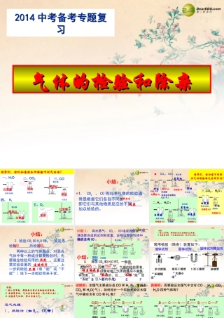 化学评价研讨暨复习备考会1 气体的检验和除杂课件