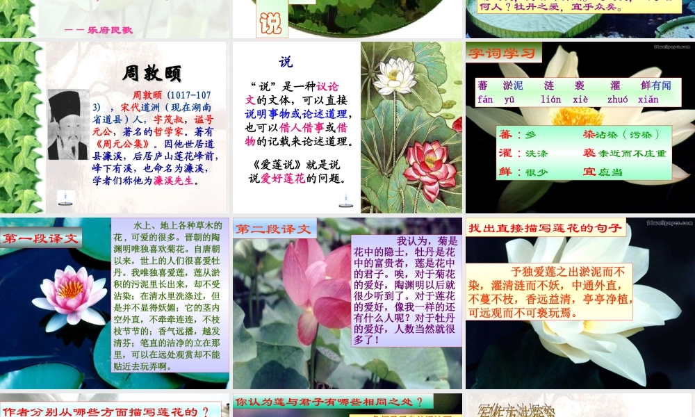 《爱莲说》课件[1] (2)