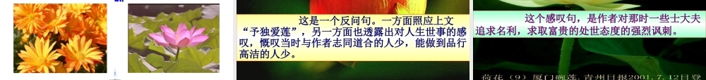 《爱莲说》课件[1] (2)
