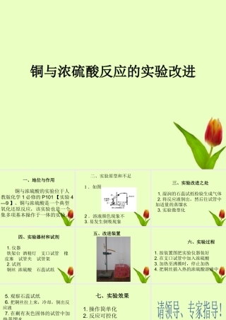化学 铜与浓硫酸反应的创新大赛课件