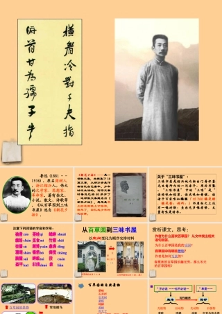 七年级语文下册 (从百草园到三味书屋)课件 苏教版 课件