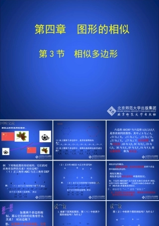 大庆市第八中学张凤民43相似多边形