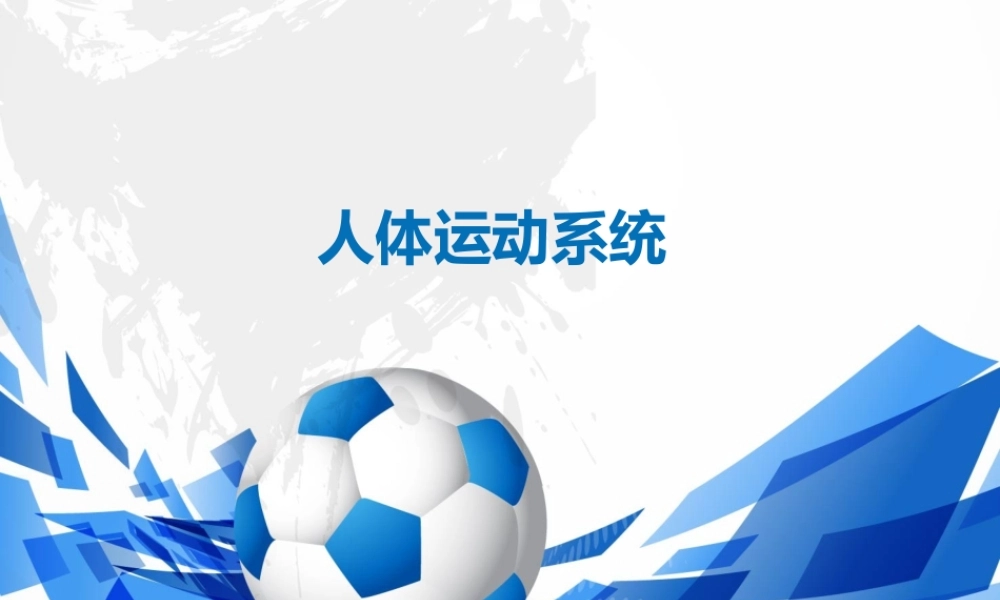 人体运动系统