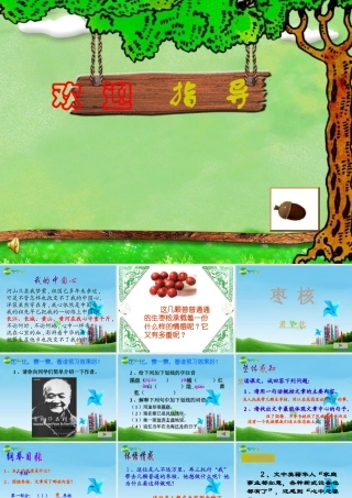 八年级语文上册 (枣核)教学课件 苏教版 课件