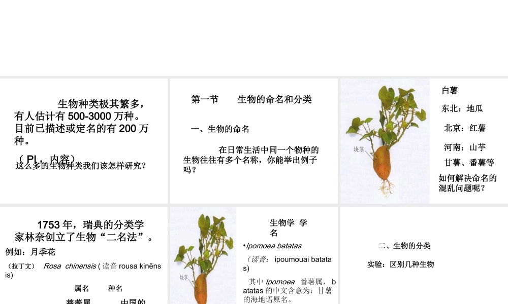 生物的命名与分类