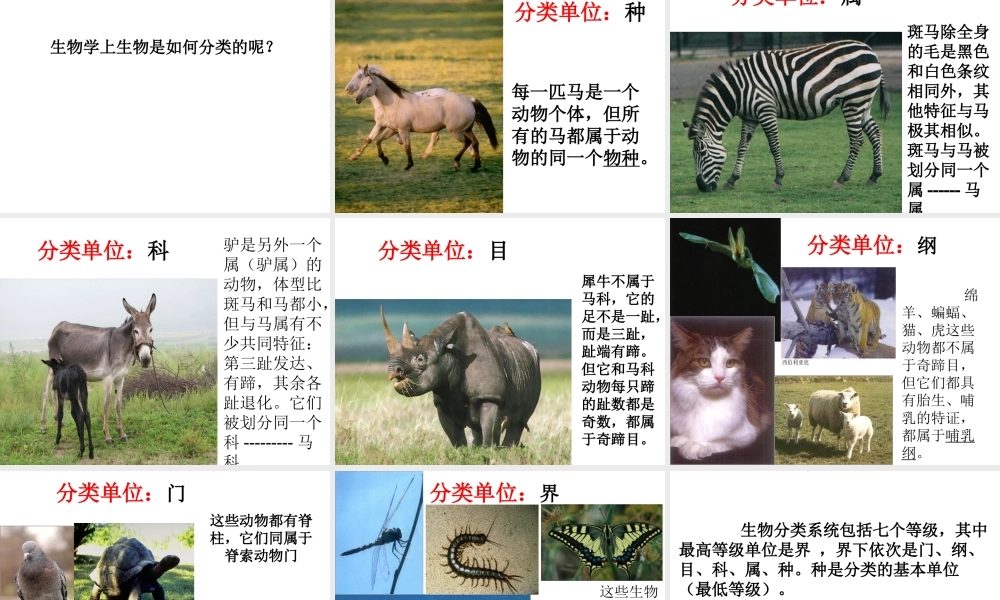 生物的命名与分类