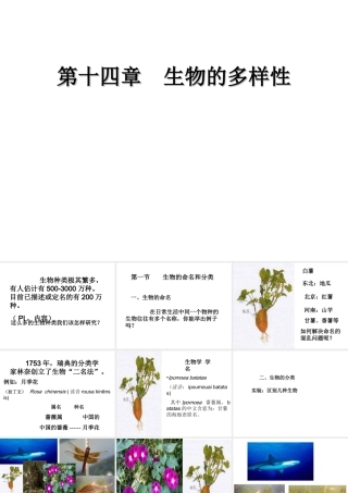 生物的命名与分类