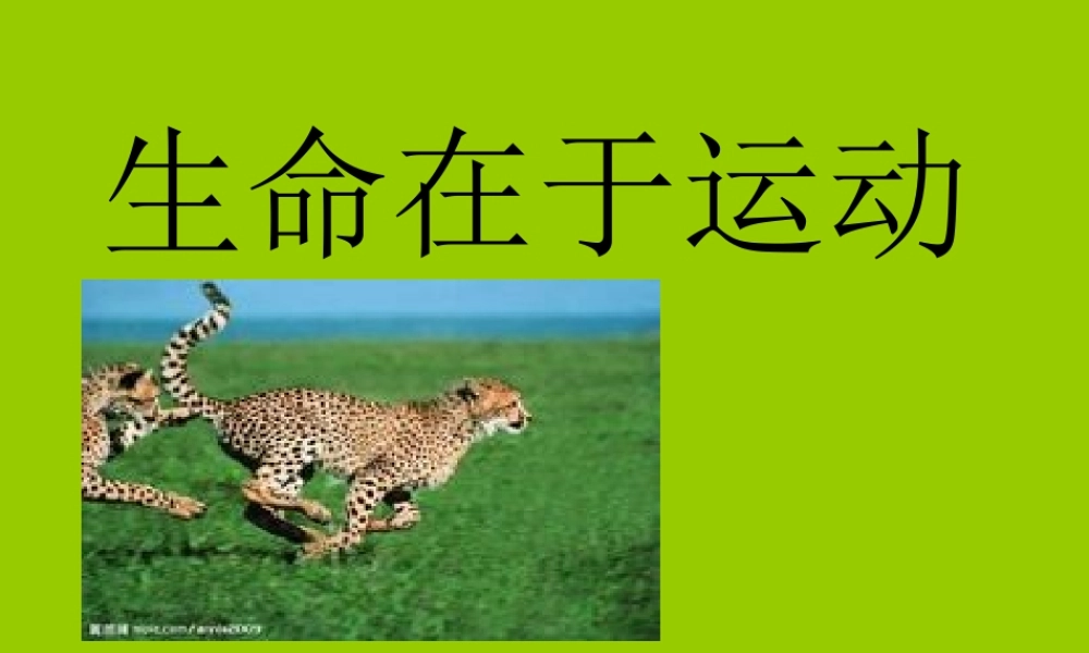 生命在于运动_幻灯片