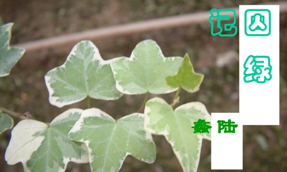 九年级语文上册(囚绿记)课件 苏教版 课件