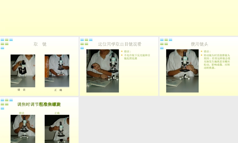 七年级生物上册 使用显微镜错误的纠正1课件 人教新课标版 课件