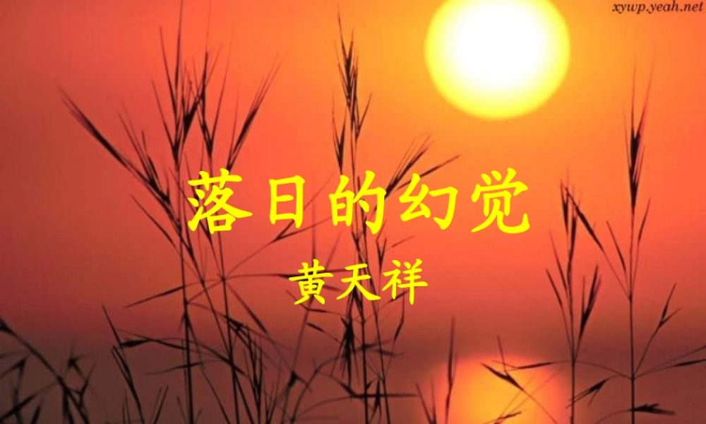 八年级语文上册 (落日的幻觉)优秀课件(11页) 人教新课标版 课件