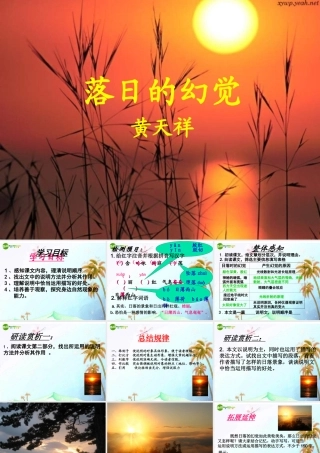 八年级语文上册 (落日的幻觉)优秀课件(11页) 人教新课标版 课件