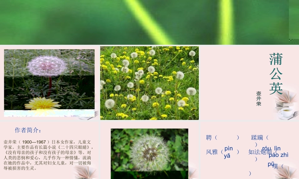 八年级语文下册 (蒲公英)教学课件 河大版 课件