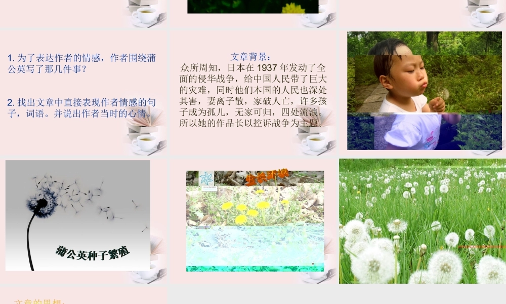 八年级语文下册 (蒲公英)教学课件 河大版 课件