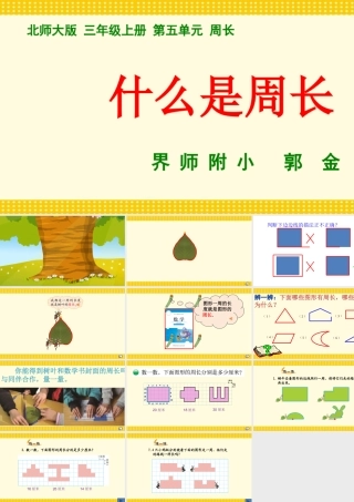 什么是周长课件