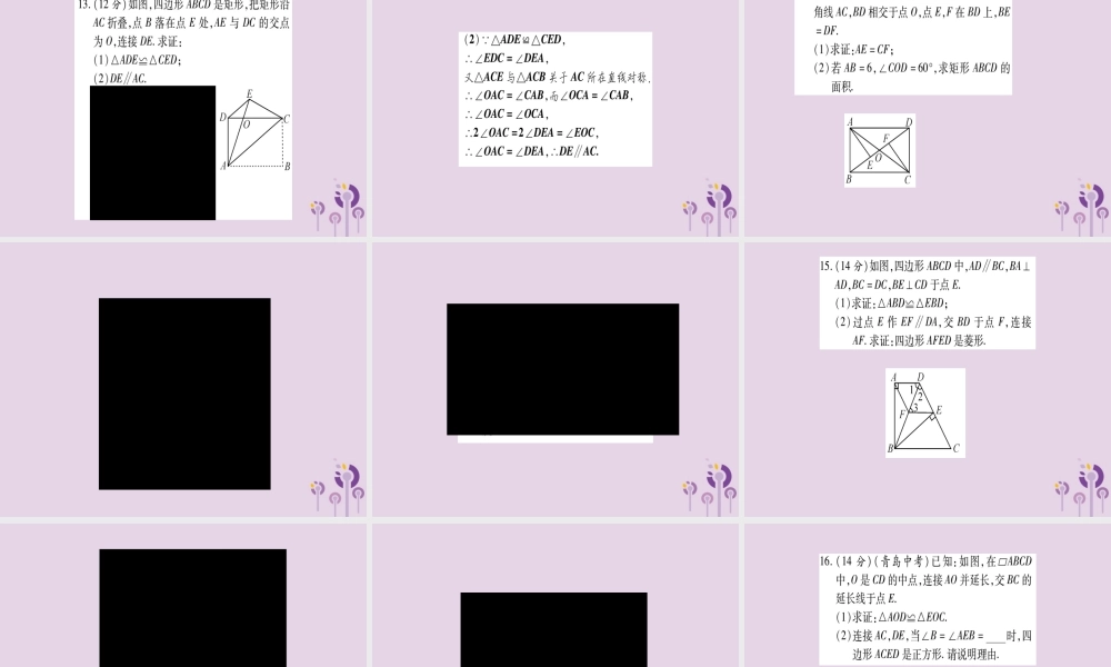 九年级数学上册 双休滚动作业(2)作业课件 (新版)北师大版 课件