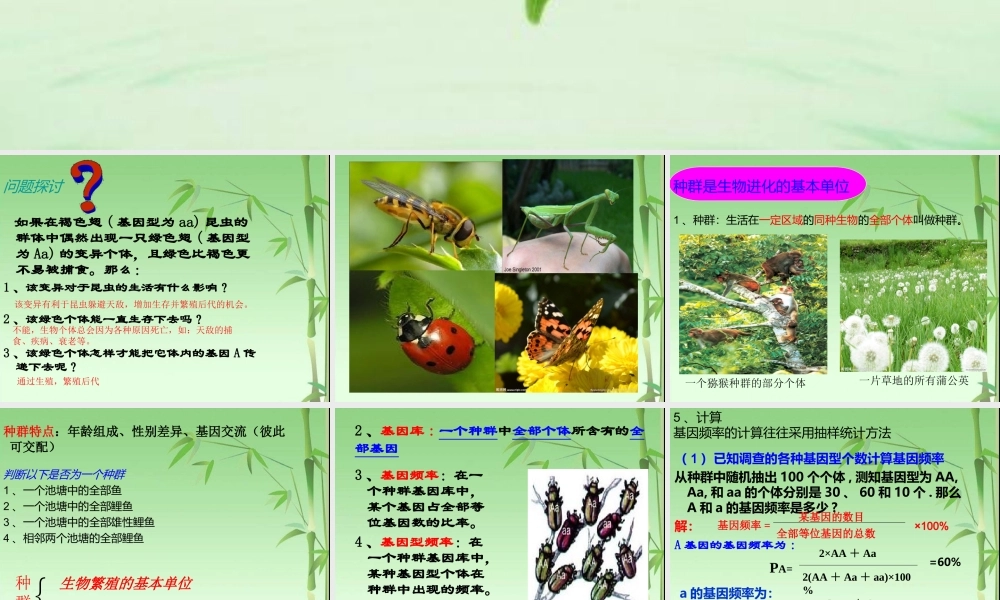 种群基因频率的变化与生物进化