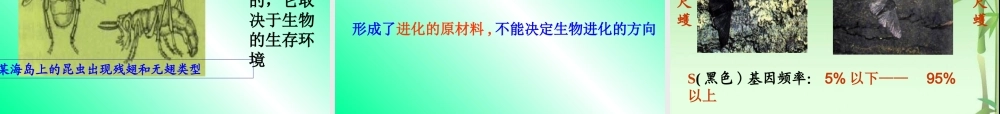 种群基因频率的变化与生物进化