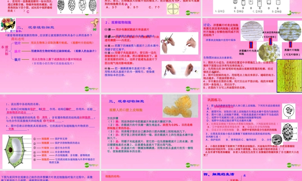 七年级生物 第二单元(生物和细胞)专题复习课件 新人教版 课件