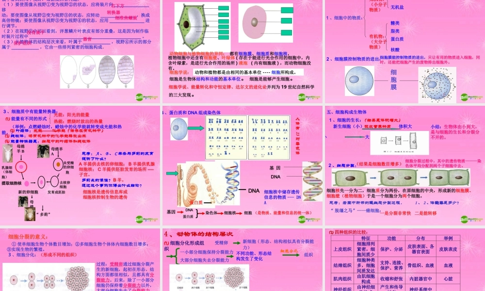 七年级生物 第二单元(生物和细胞)专题复习课件 新人教版 课件