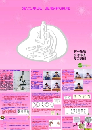 七年级生物 第二单元(生物和细胞)专题复习课件 新人教版 课件