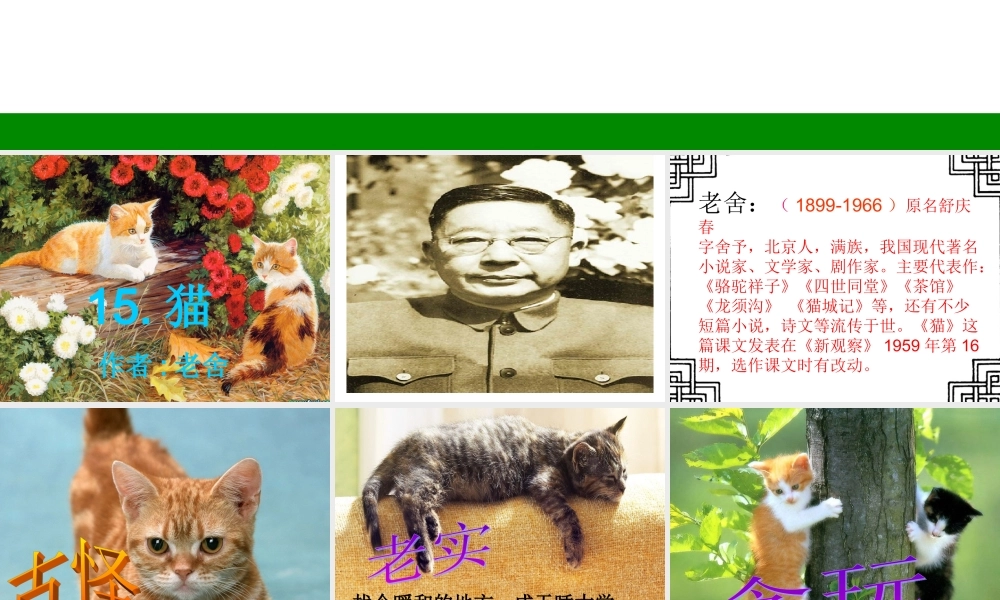 老舍猫(演示文稿)