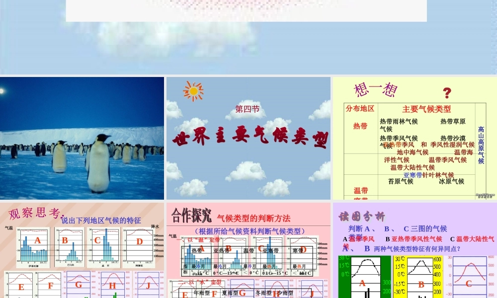 初三地理复习气候类型课件