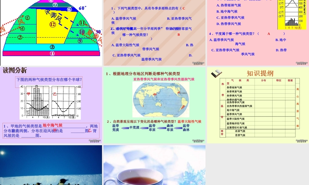 初三地理复习气候类型课件