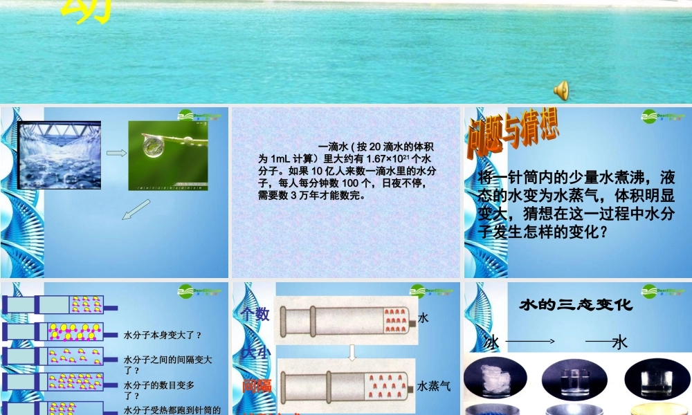 八年级化学上册 水分子的运动课件 鲁教版五四制 课件