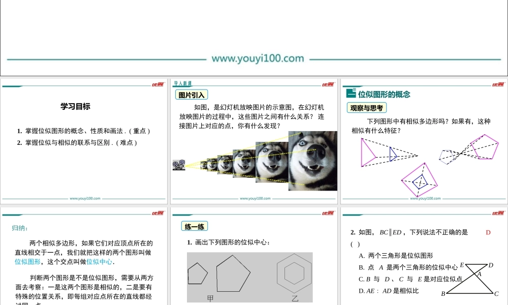 位似图形概念
