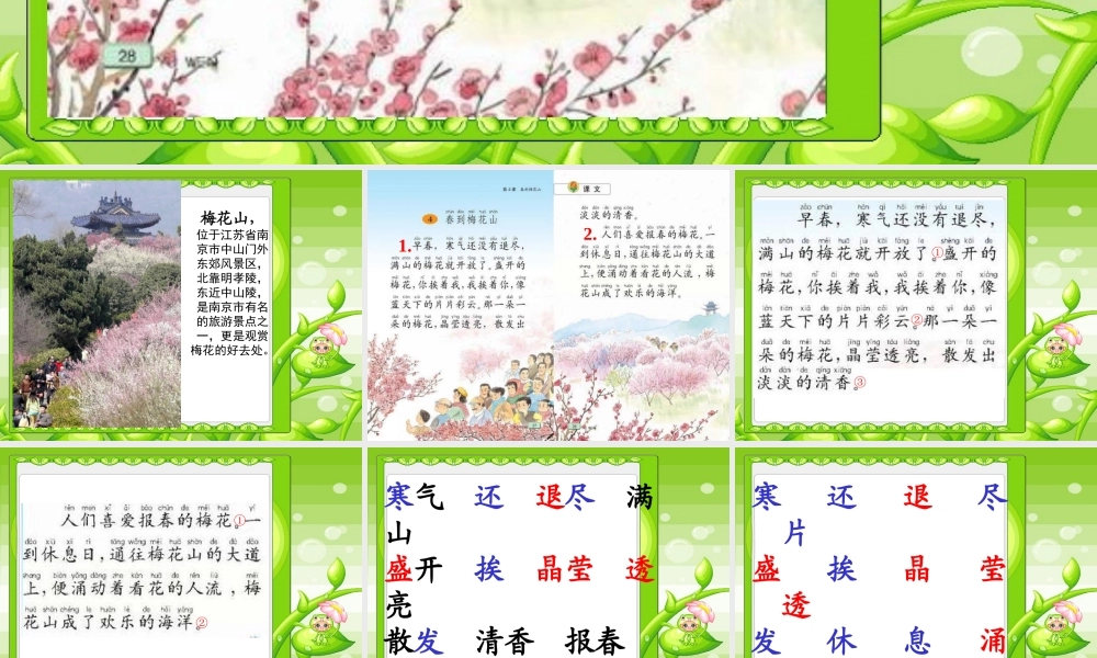 苏教版语文第二册《春天梅花山》