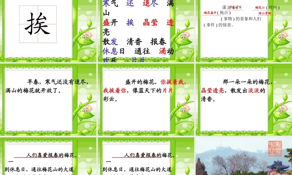 苏教版语文第二册《春天梅花山》