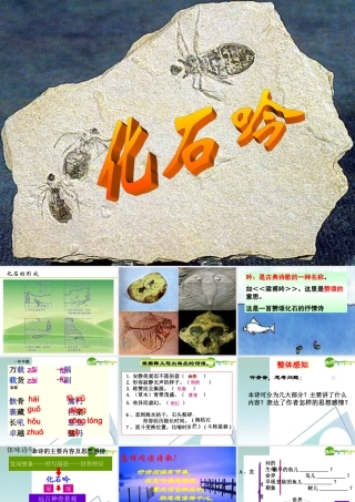 七年级语文上册(化石吟)课件1 人教新课标 课件