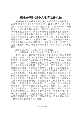 煤电公司计划个人生育工作总结