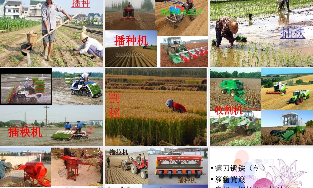 西师版语文第四册《农具》课件