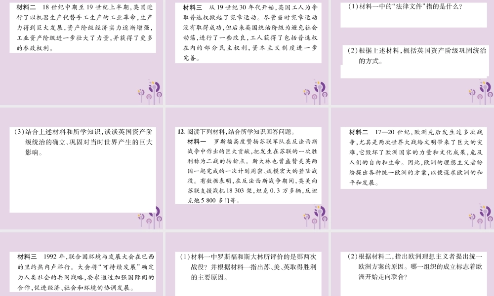 中考历史总复习 第二编 热点专题速查篇 专题7 世界主要资本主义国家的发展史(精练)课件