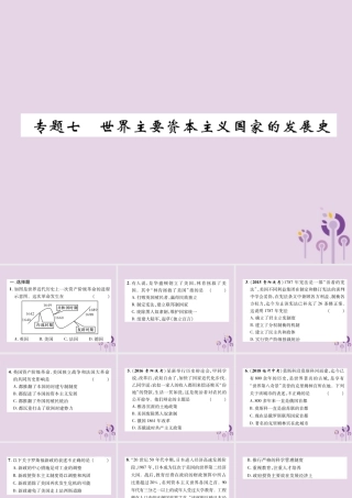 中考历史总复习 第二编 热点专题速查篇 专题7 世界主要资本主义国家的发展史(精练)课件