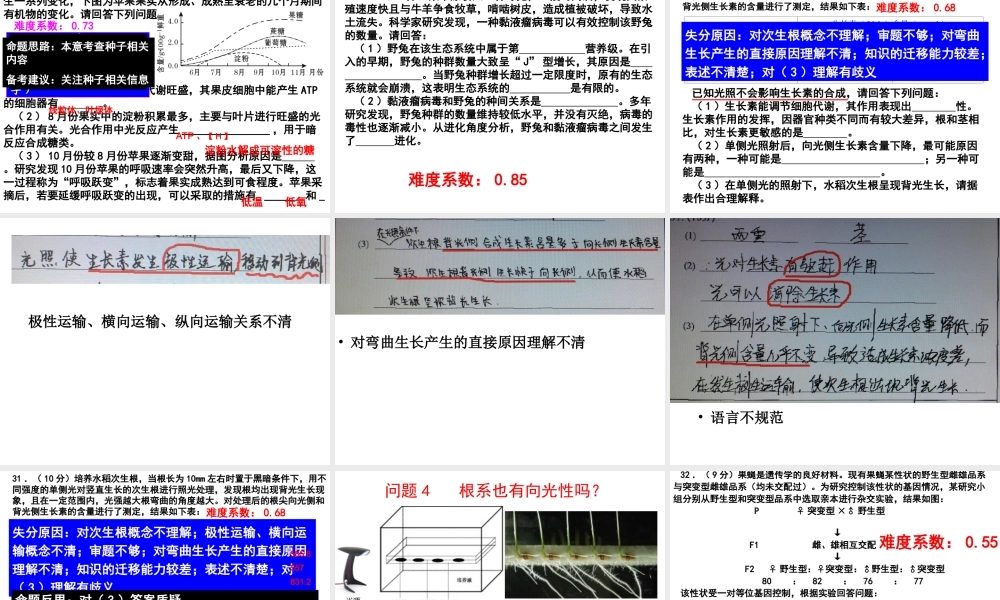 2015武汉市四月调考
