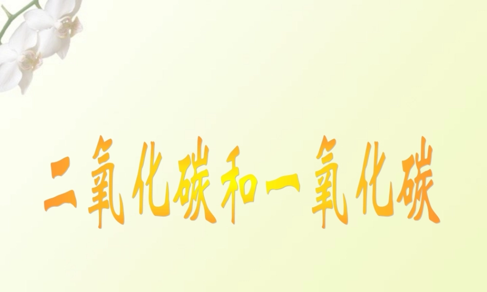 二氧化碳和一氧化碳 人教新课标版 课件