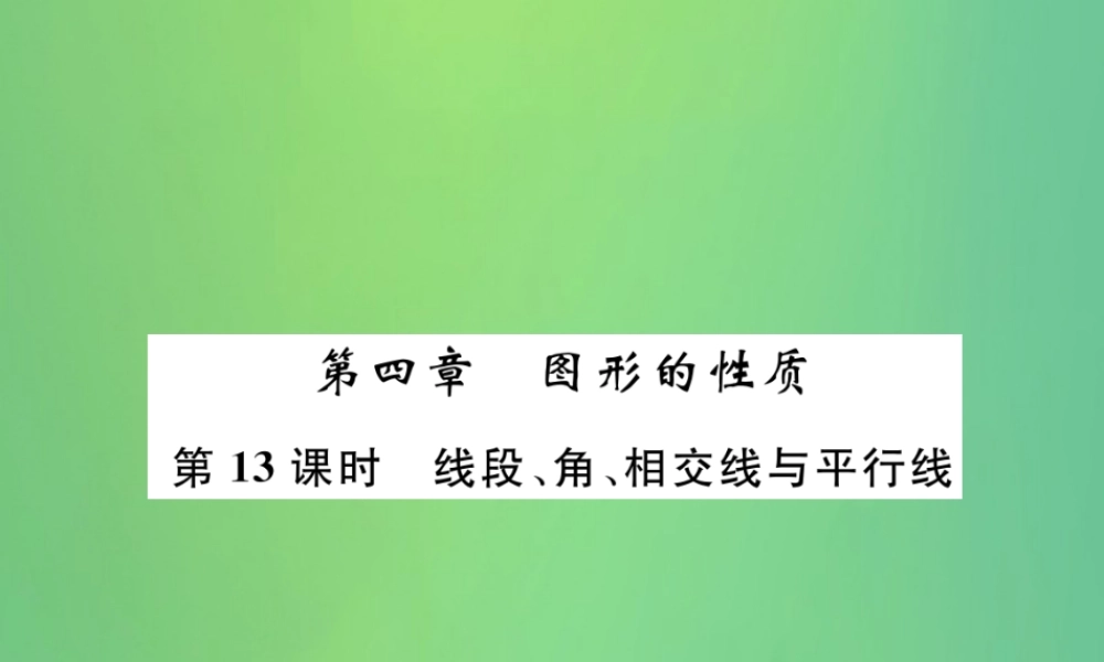 中考数学复习 第4章 图形的性质 第13课时 线段、角、相交线与平行线(精讲)课件